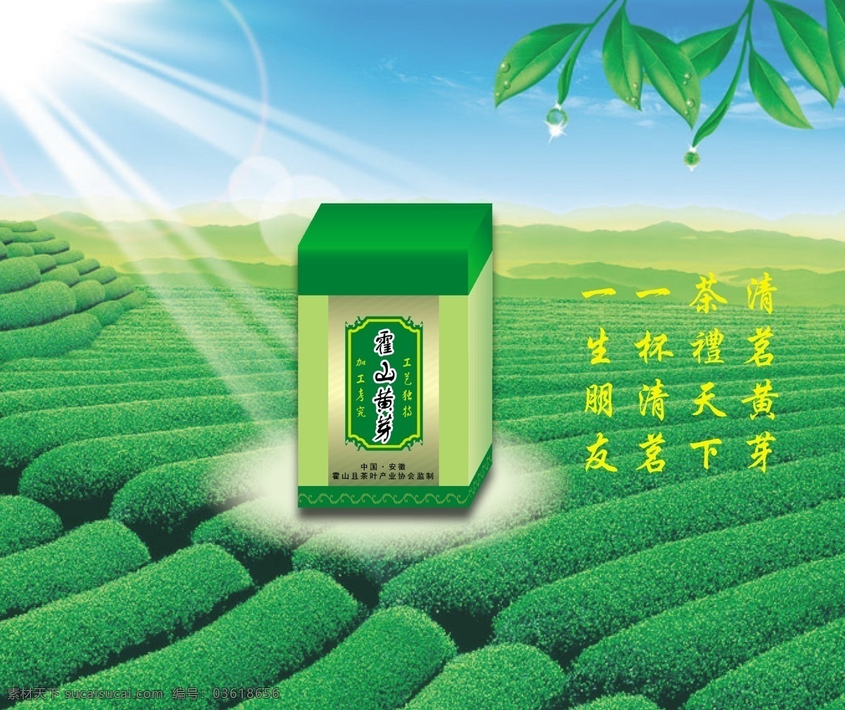 茶叶 盒 ai矢量 茶叶包装 茶叶盒 矢量 模板下载 安徽茶 安徽茶叶 绿色茶