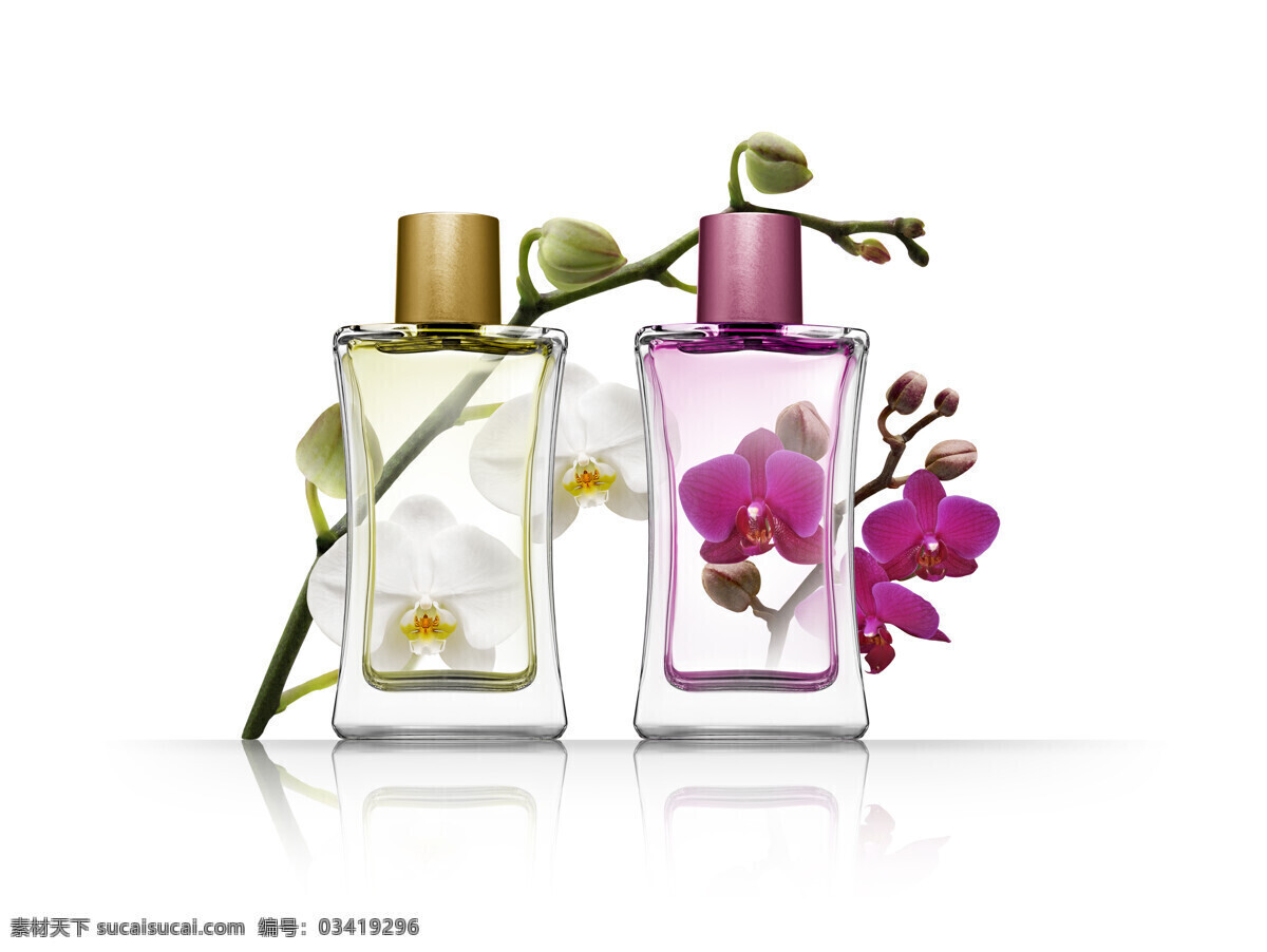 清新 香水 perfume 香水瓶 香水广告 高清图片 花朵 生活用品 生活百科