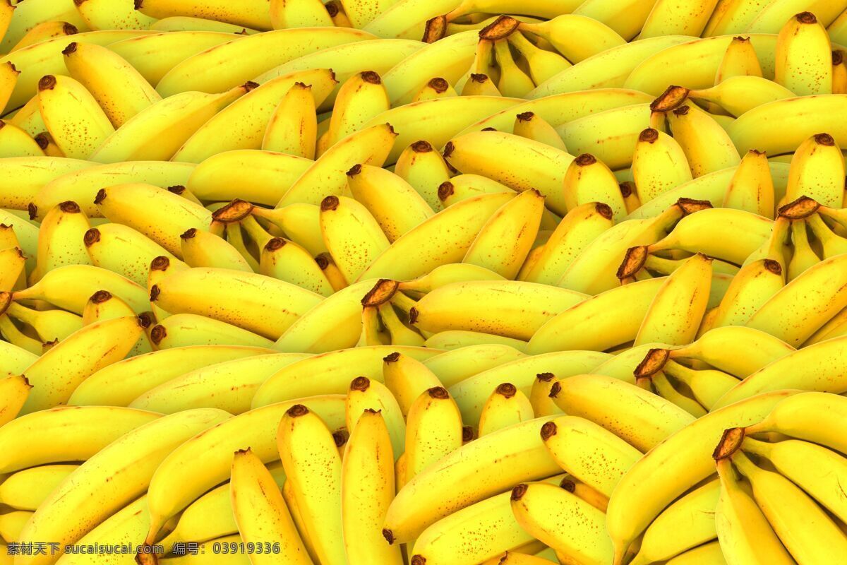 香蕉 有机水果 热带水果 绿色水果 农产品 水果市场 批发市场 水果店 生物世界 水果
