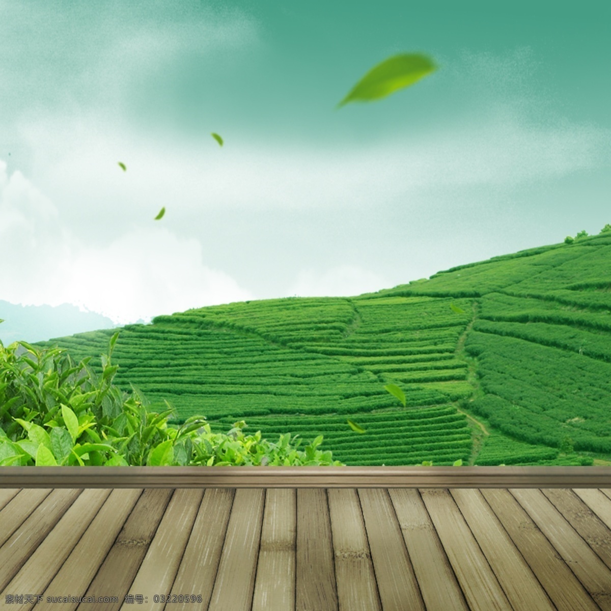 茶主图素材 茶林素材 茶 木板主图素材 木板海报 木板 木板素材 主图海报 首图海报 淘宝 天猫 海报 背景 主图素材 海报素材 淘宝主图 主图 首图 主图背景 主图模板 天猫主图 背景宝贝主图 聚划算主图 淘宝主图素材 淘宝首图 首图背景图 首图素材 天猫首图 淘宝界面设计 广告 banner