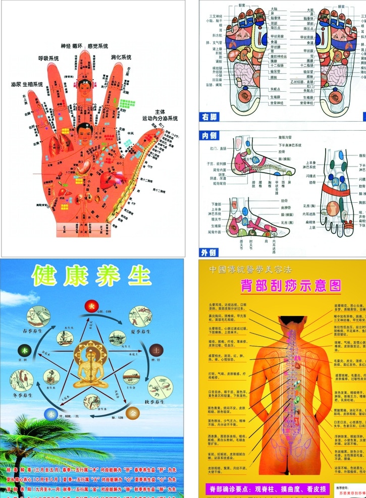 刮痧作品 刮痧 手穴位图 物穴位 健康养生 脚穴位图 脚穴位 背部刮痧 足部养生 脚部刮痧