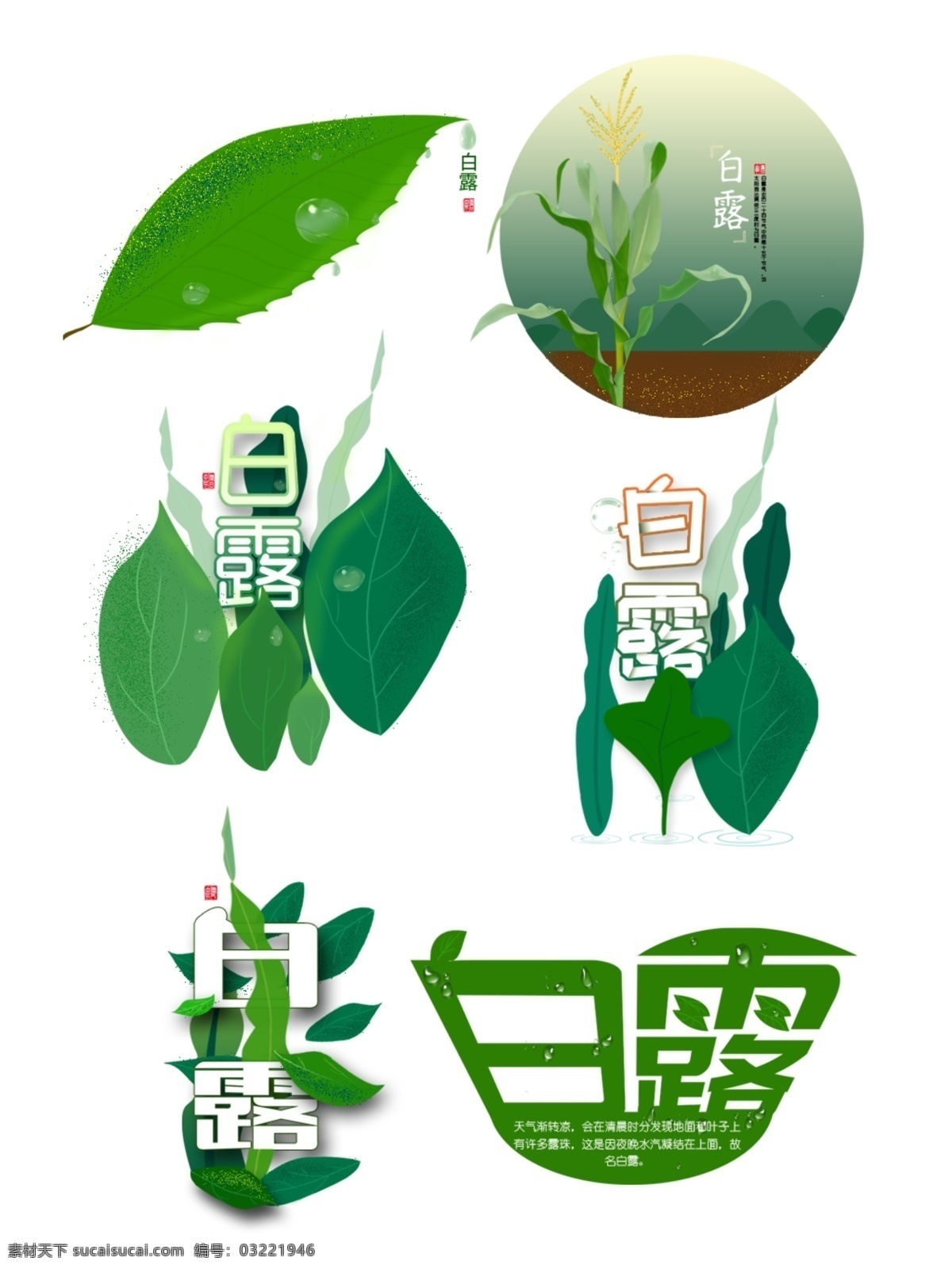 白露 节气 叶子 露珠 绿色 手绘 元素 组合 节气元素 玉米叶子