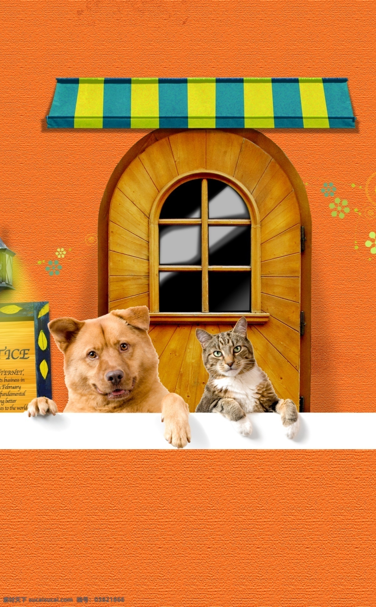 狗猫宠物海报 黄色背景 猫 房子 门 灯 拍照背景墙 狗狗 窗户 拍照
