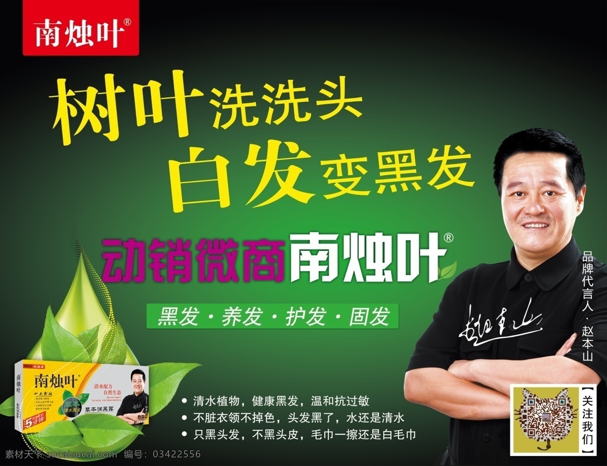 南烛叶 赵本山 黑发 白发 树叶