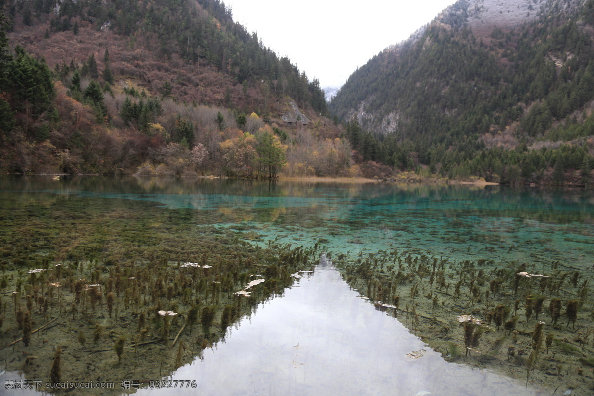 九寨沟风光 九寨沟旅游 四川旅游 四川风景 四川美景 山水 风光 阿坝州风景 旅游摄影 国内旅游