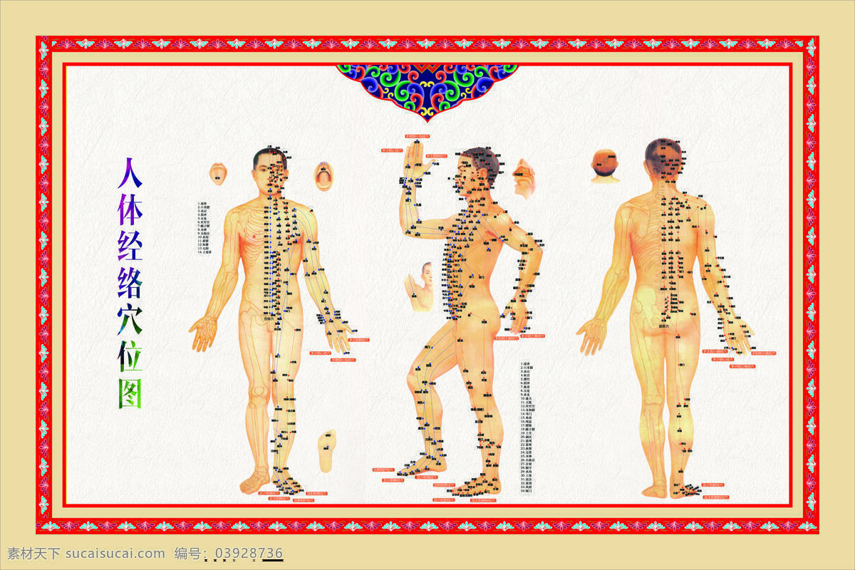 人体 经络 穴位 图 空位图 中医图 人体经络图 经络海报