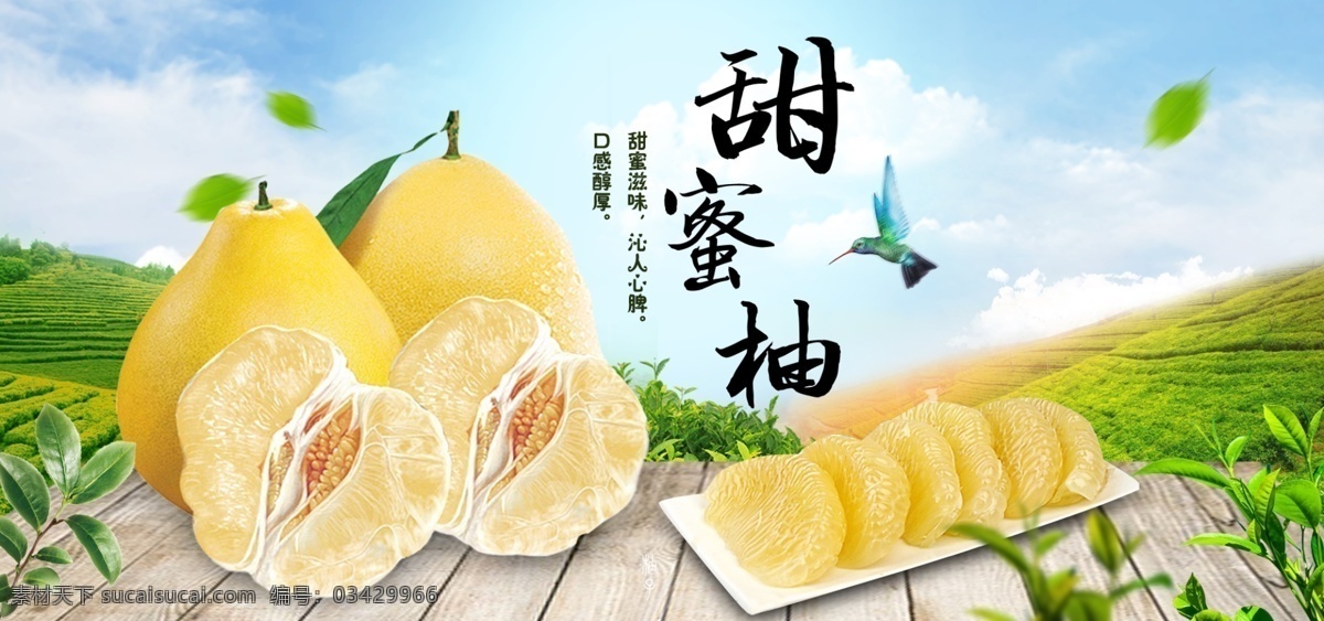 福建 平和 琯 溪 白 柚 banner 白柚 蜜柚 柚子 网页 水晶柚 琯溪柚