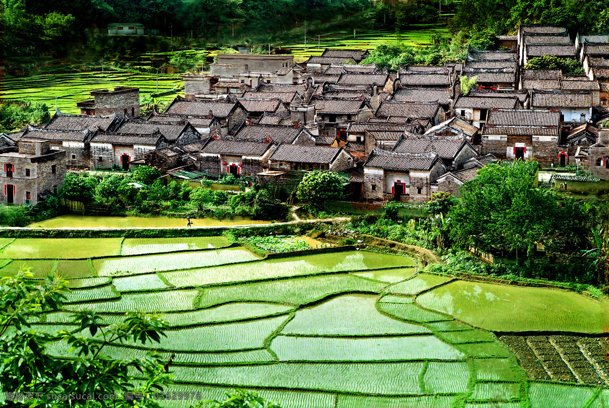 岭南风情画 村落 水田 风景 山水画 风情 旅游摄影 人文景观