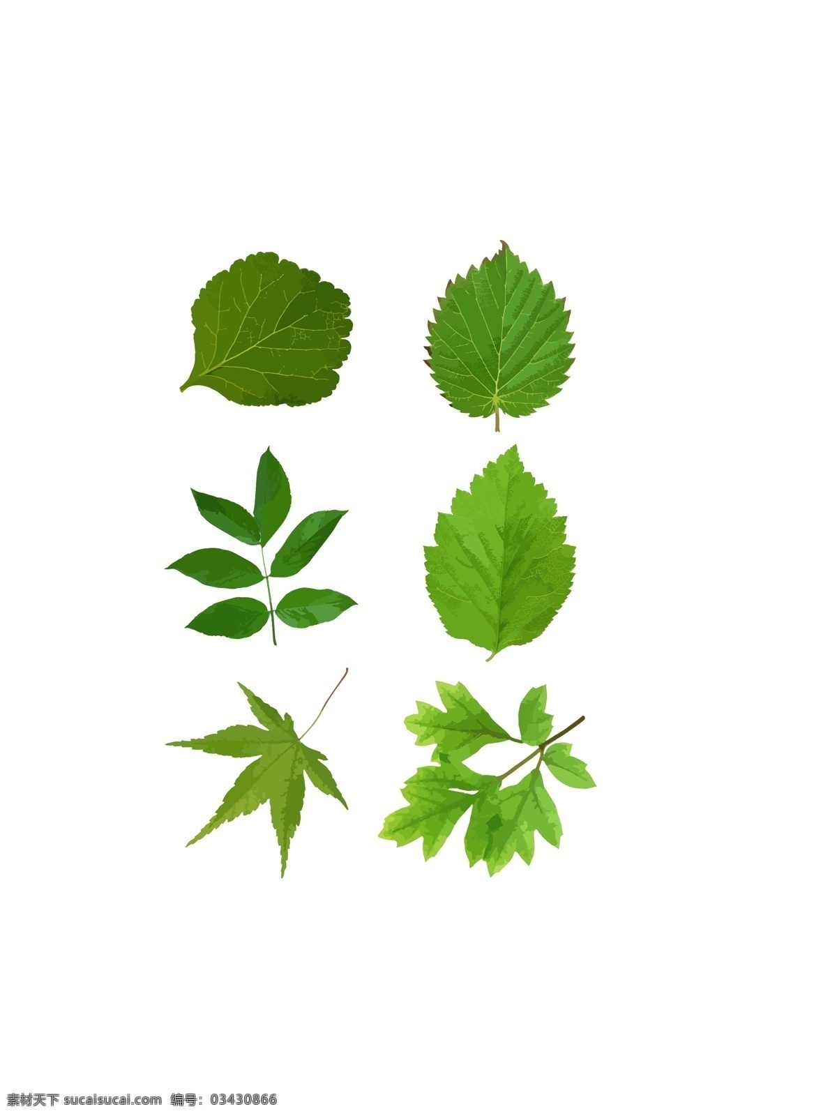 树叶素材 绿叶 青翠绿叶素材 春季 树木 卡通树叶 植物 点缀素材 底纹边框 彩色树叶 矢量树叶 秋叶 金色树叶 红色树叶 树木树叶 各种树叶 叶子 绿色叶子 枫叶 枫叶素材 树枝 花纹花边 一串树叶 绿色树叶 花卉植物 花草 手绘 时尚 梦幻 梦幻树叶 各种叶子 绿色树叶素材