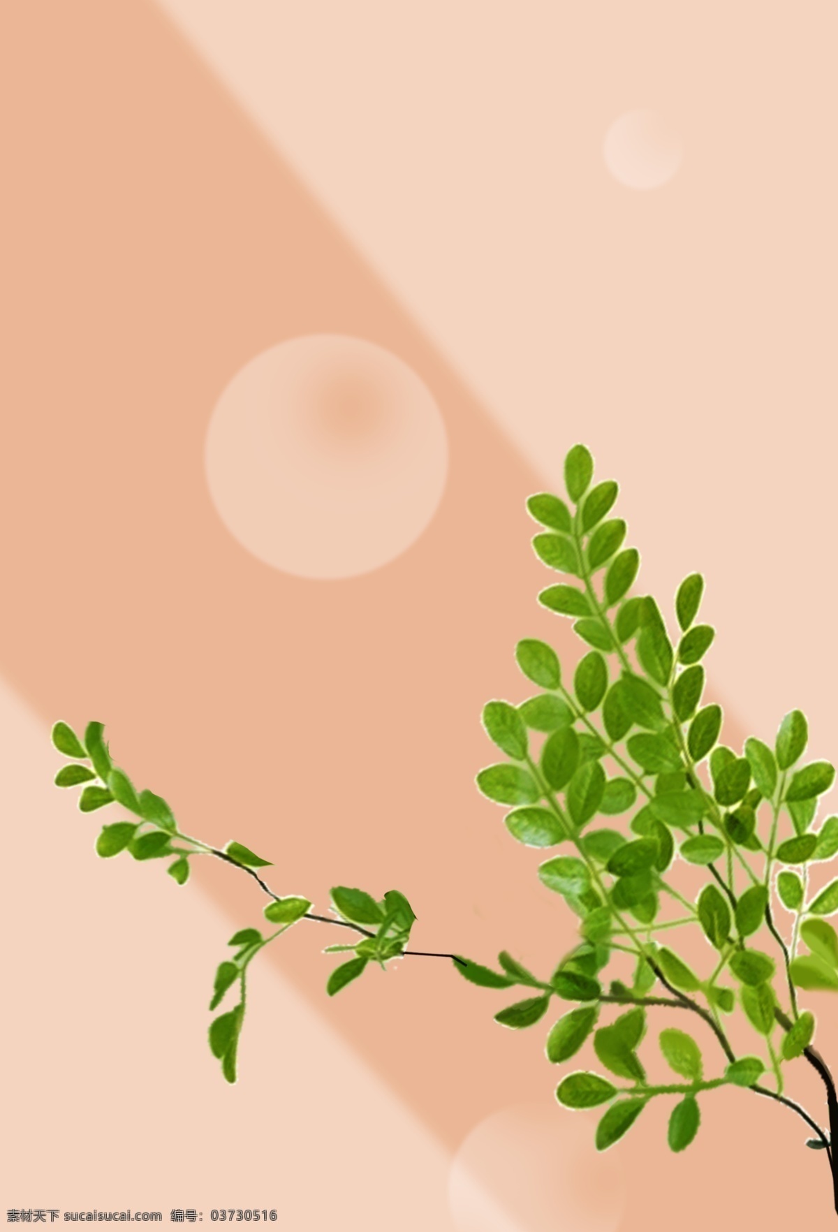 唯美 手绘 绿色植物 插画 背景 森系 小清新背景 植物背景 植物花卉 水彩背景 通用背景