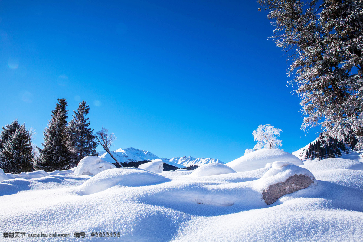 大雪 无垠 伊犁 风光图片 大雪无垠 伊犁风光 白色的冬天 雪 暴雪 松树 雪松 北国风光 雾凇 树林 雪景 冰雪 自然景观 自然风景