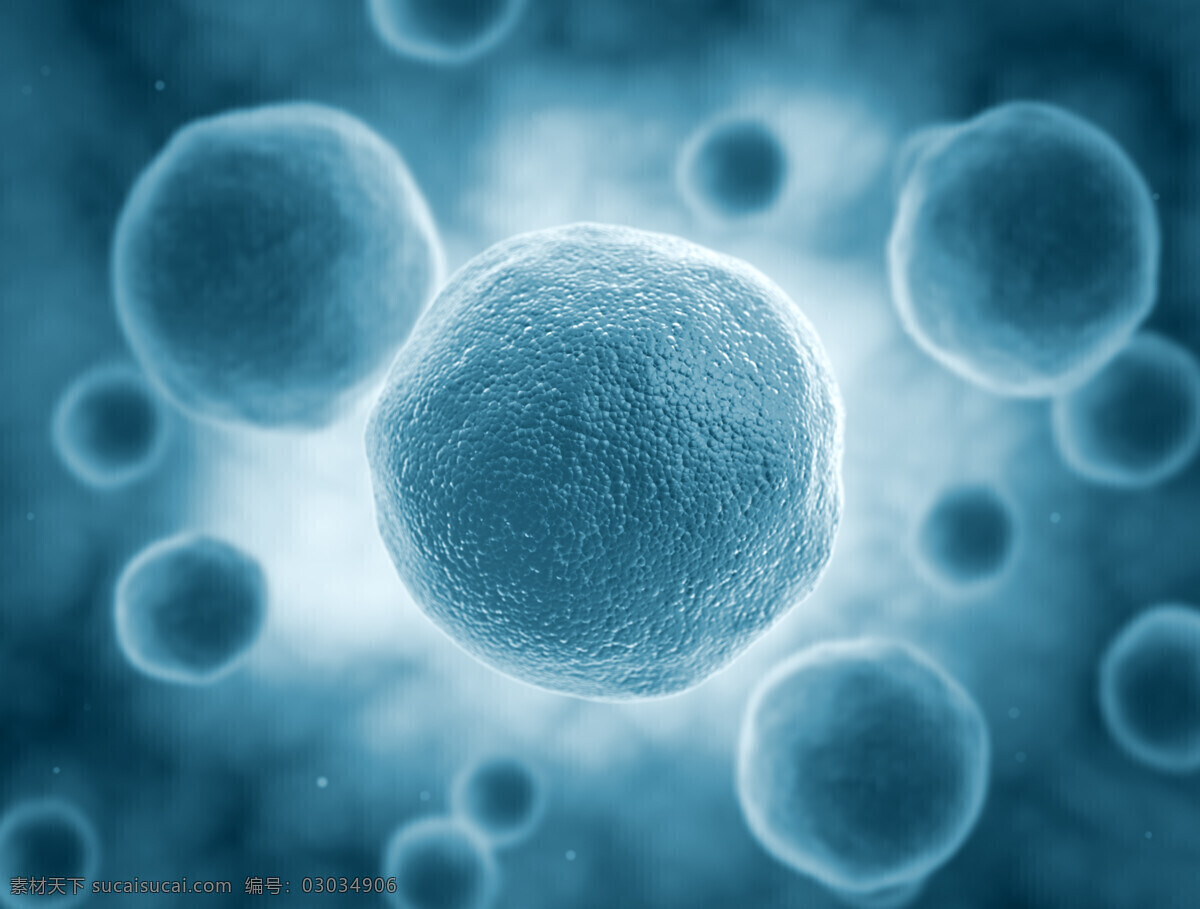 细胞 结构 细菌 病毒 医学 医疗卫生科学 细胞图片 现代科技