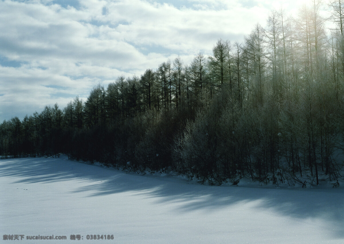 唯美雪景 雪景的图片 美丽雪景图片 冬季雪景图片 唯美图片 空寂 大气