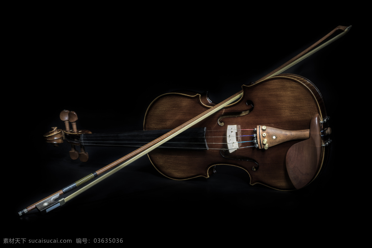 小提琴 乐器 弦乐器 西洋乐器 音乐器材 影音娱乐 生活百科