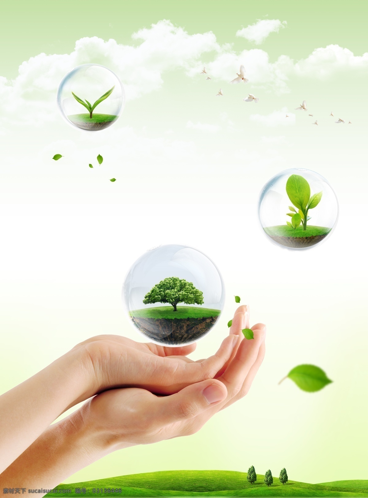 绿色环保 环保素材 环保 保护生态 保护环境 绿色 分层