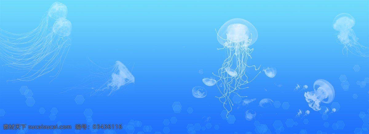梦幻 水母 清新 蓝色 海报 梦幻水母 透明 简约 海洋生物 水母群