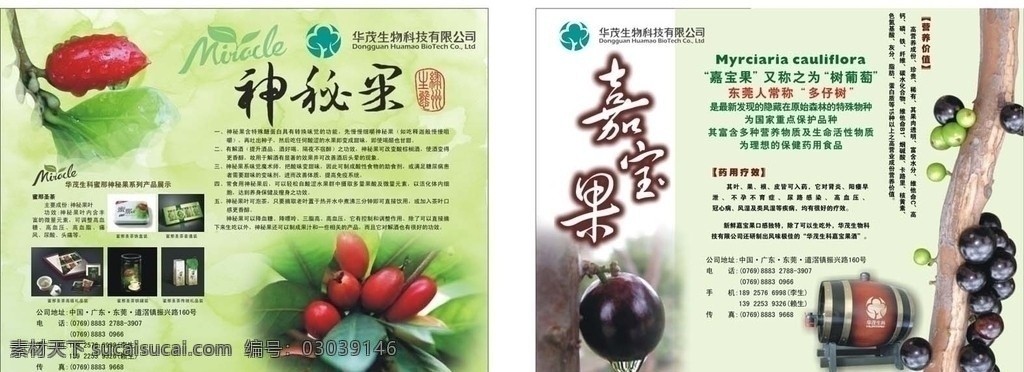 美食节 展柜 两侧 展柜装饰 神秘果 神秘果茶叶 嘉宝果 嘉宝果酿酒 展板模板 矢量