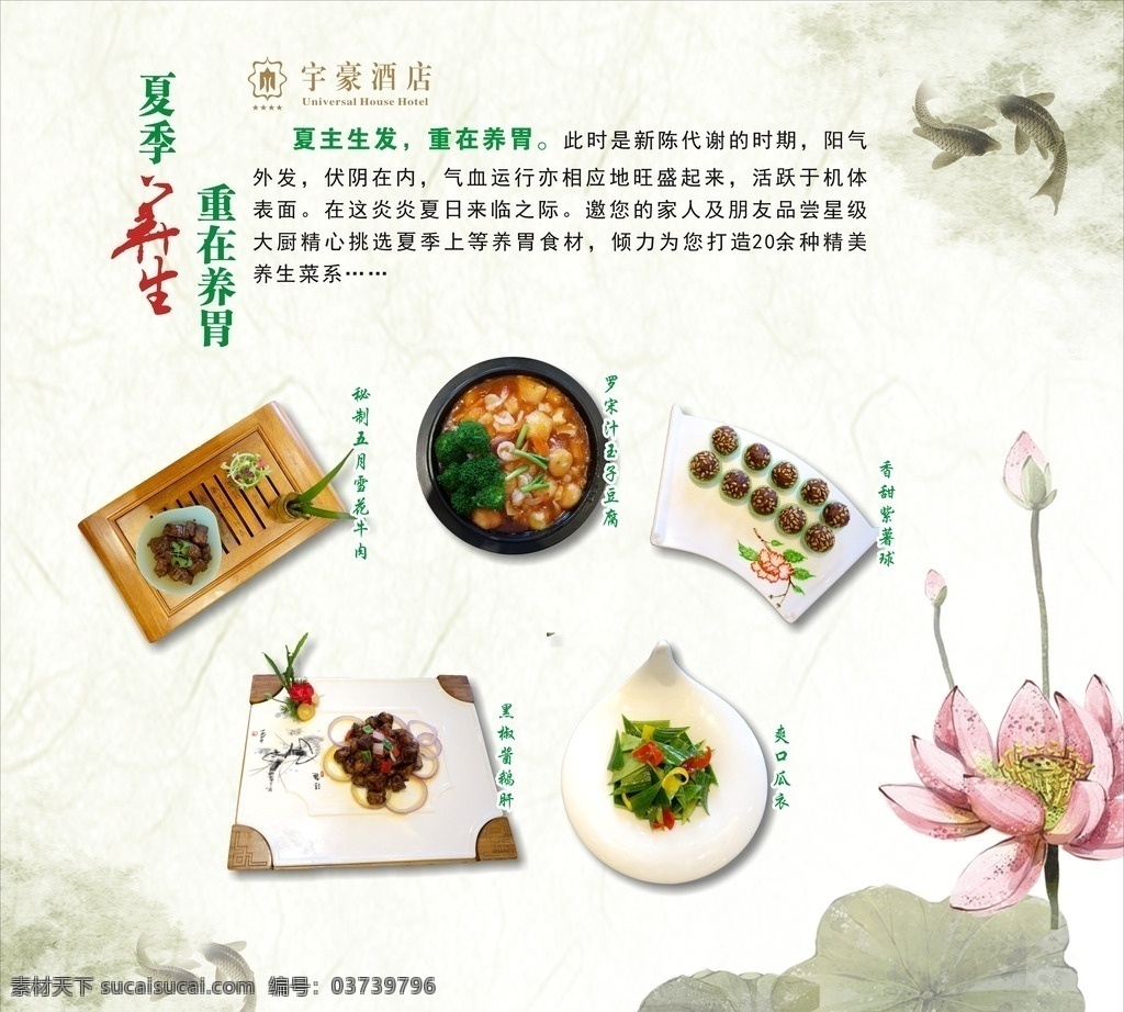 夏季养生菜 养生 夏季 新菜 牌子 荷叶 荷花 鱼 水墨画 酒店