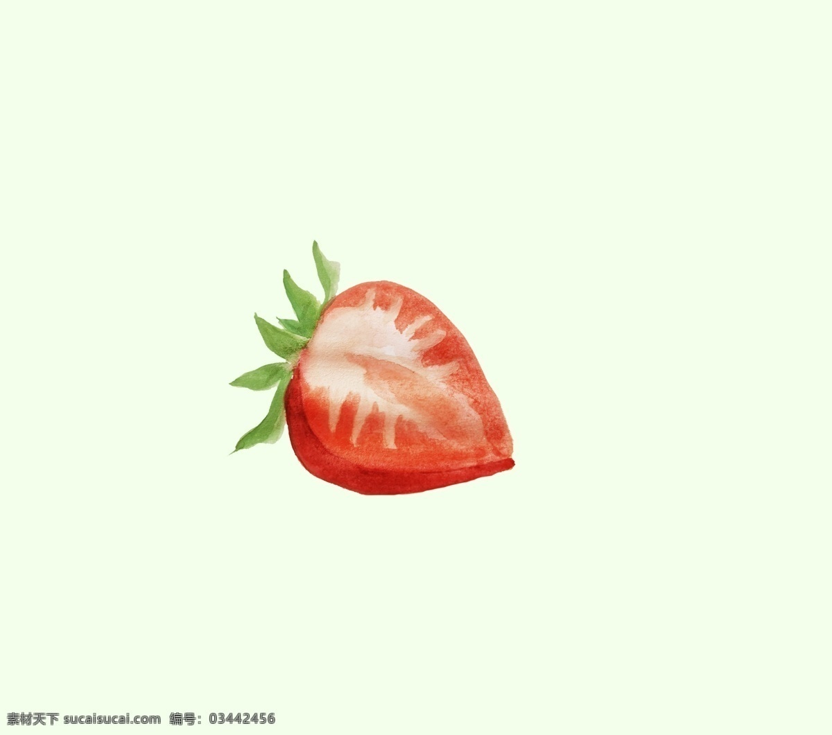 半个草莓 草莓 水果 植物 春季水果 网红水果 水彩画 水彩水果 插画 儿童插画 生物世界