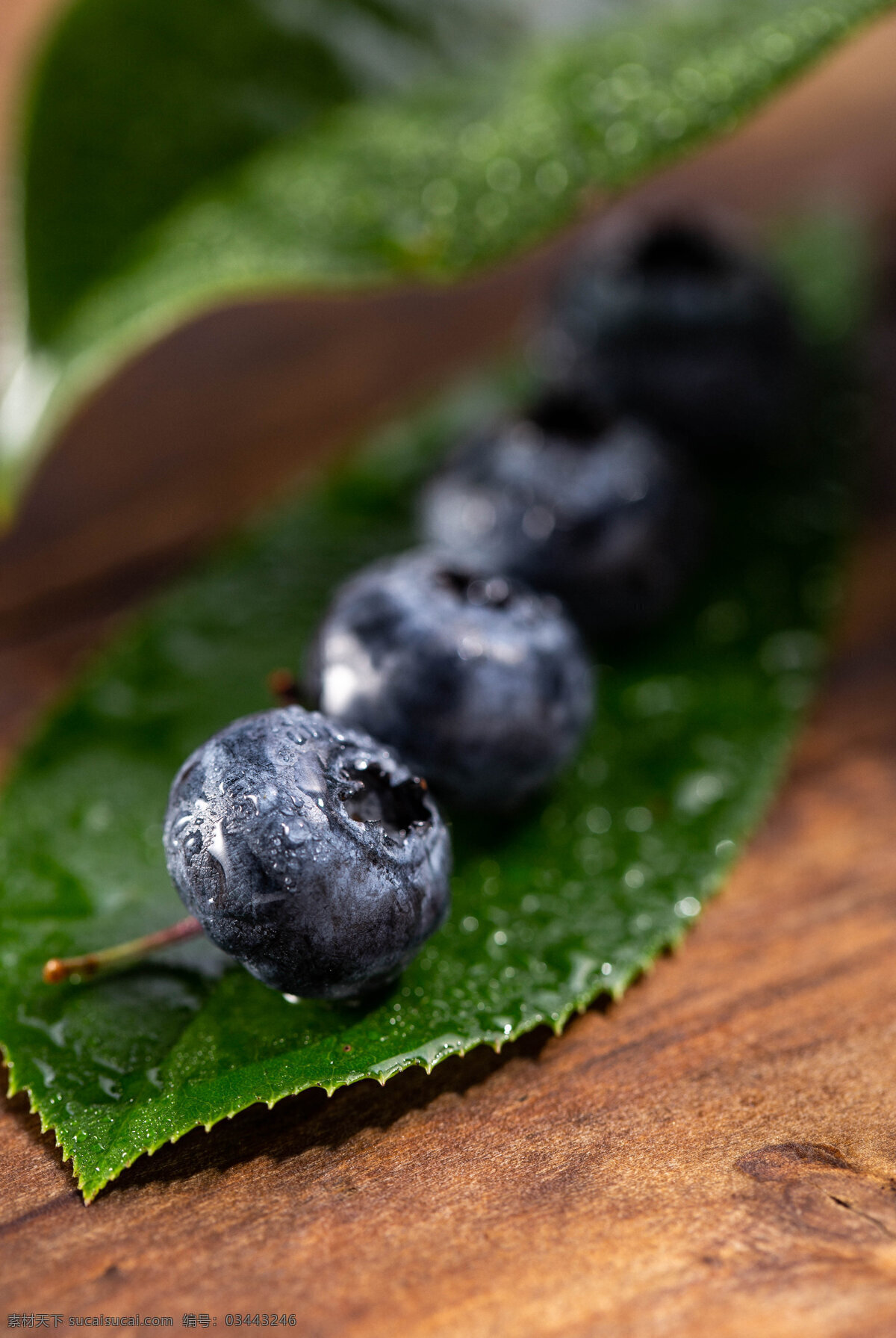 蓝莓 水果 背景 海报 素材图片 食物 中药 类 餐饮美食