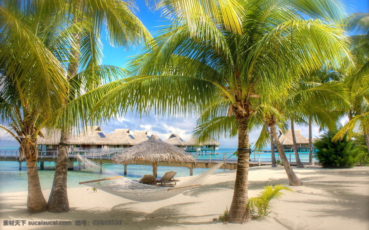 度假村 大海 度假 风景 海滩 建筑摄影 建筑园林 景观 椰子树