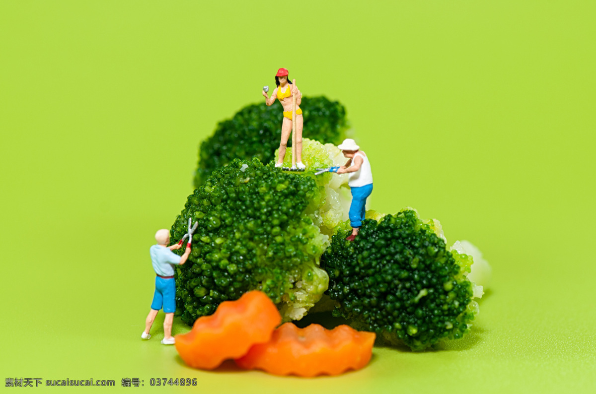 站 蔬菜 上 面的 微型 人物 蔬菜模型 园丁 微型人物 人物模型 塑料人物 其他人物 人物图片