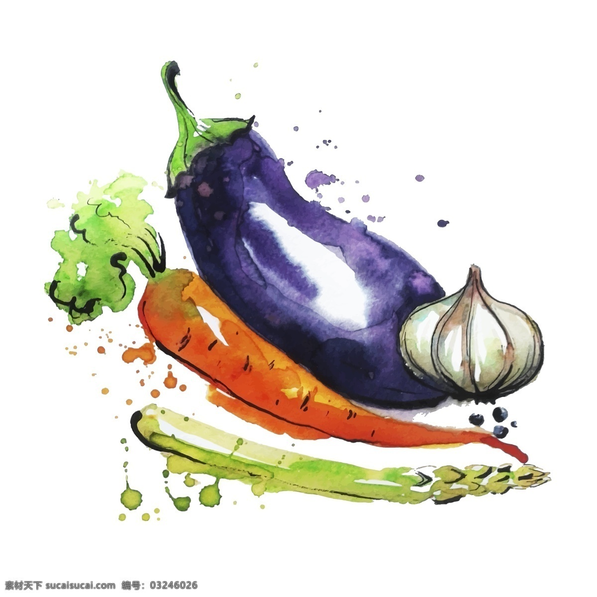 水彩 绘 蔬菜 插画 水彩绘 胡萝卜 茄子 大蒜 手绘