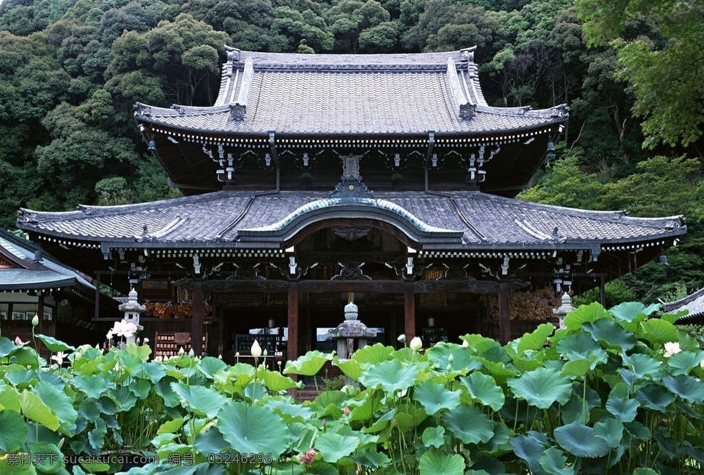 古建筑摄影 古建筑 园林 榭台 宫殿 亭楼 荷花 景观 风景 建筑工程 园林景观 建筑园林 园林建筑