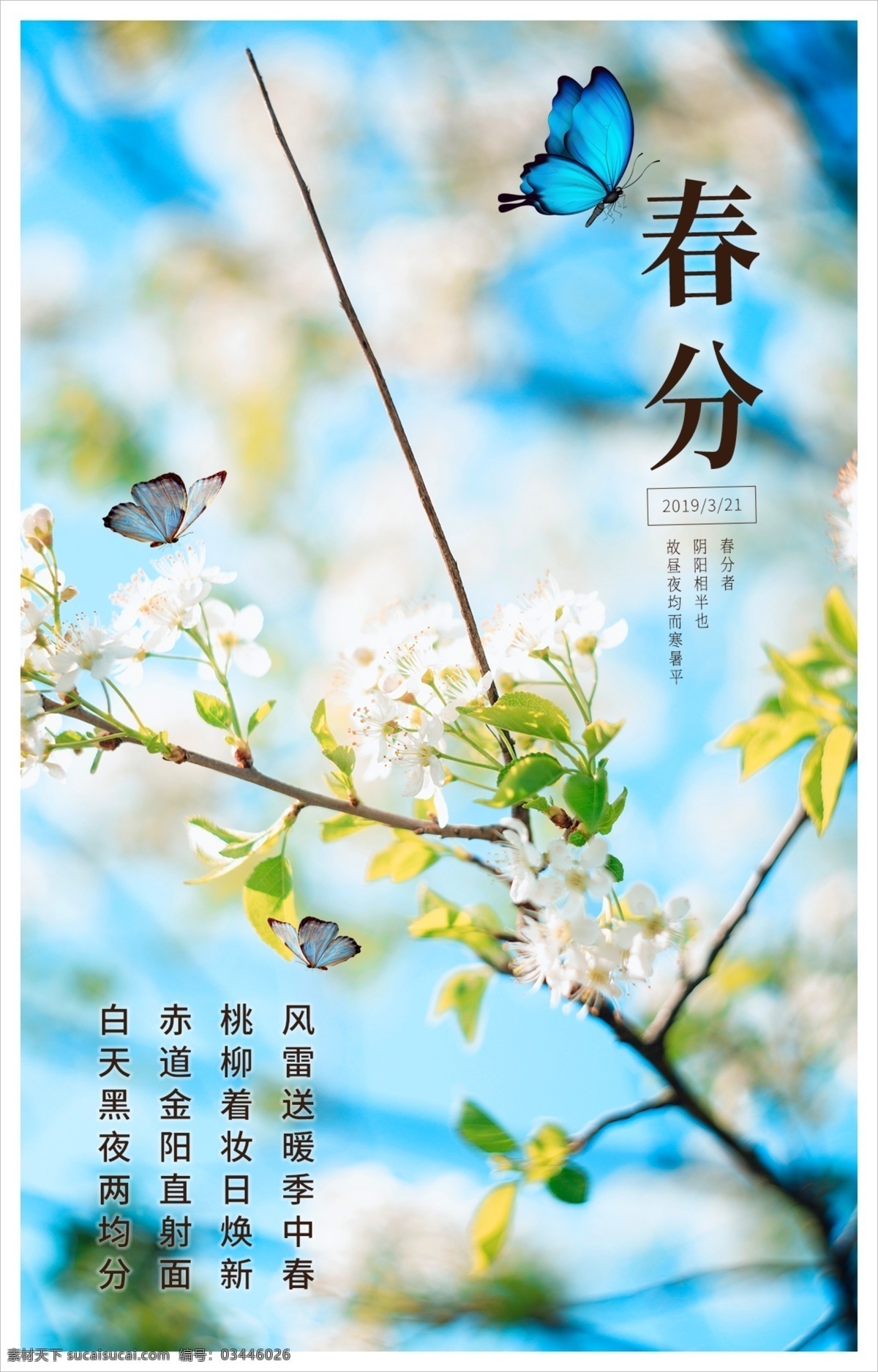 中国 传统 二十四节气 之春 分 春分 节气 梨花 阳光 春天 蓝色 蝴蝶 传统节日 自然景观 自然风光