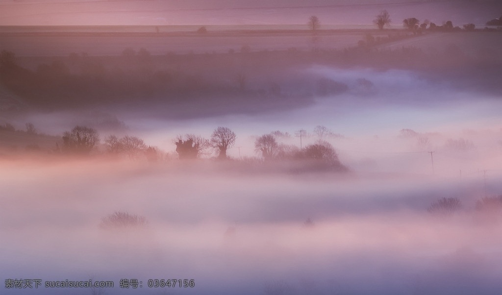 早晨浓雾弥漫 早晨 浓雾 乡村 田园 英国 风景 风光 山水风景 自然景观