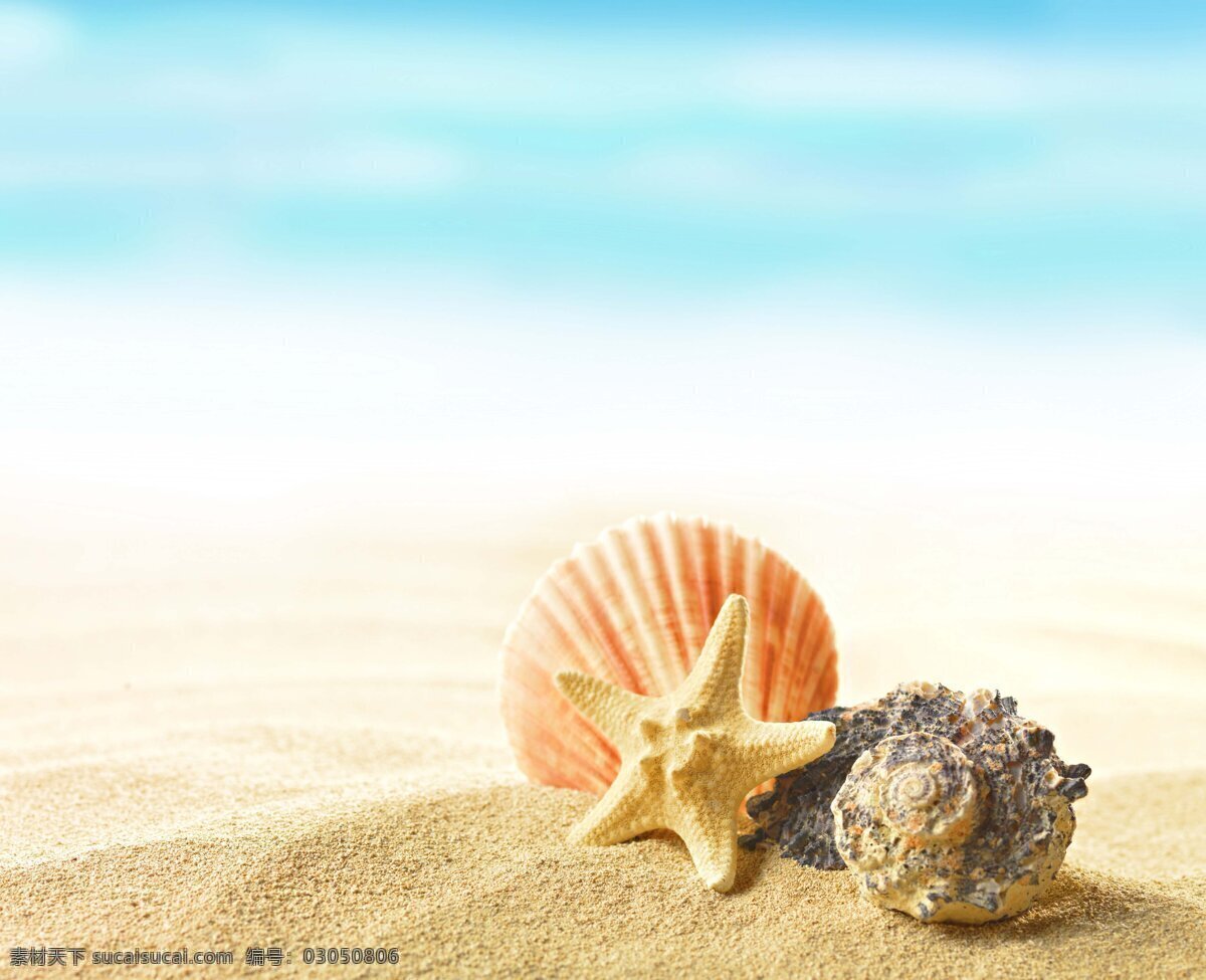 海星 贝壳 蓝色 海洋 蓝色海洋 背景 自然景观 自然风景