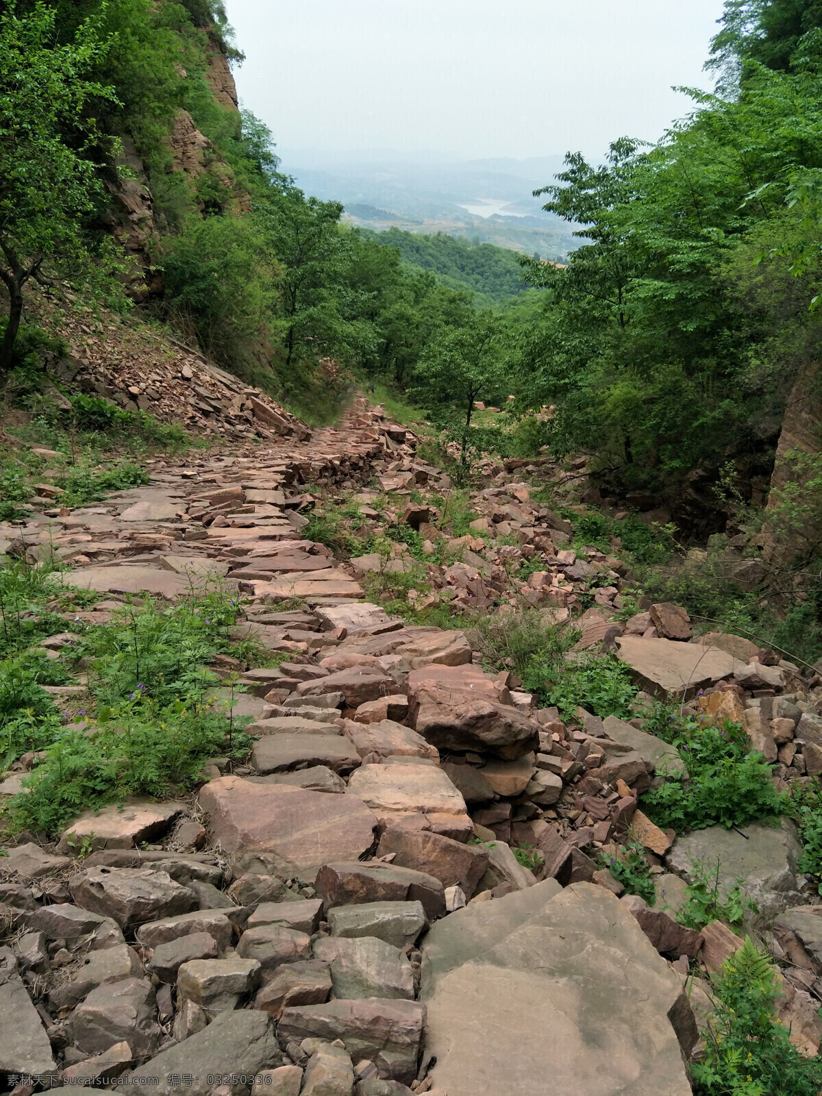 大自然 风景 绿树 花草 山水 山峰 自然景观 自然风景