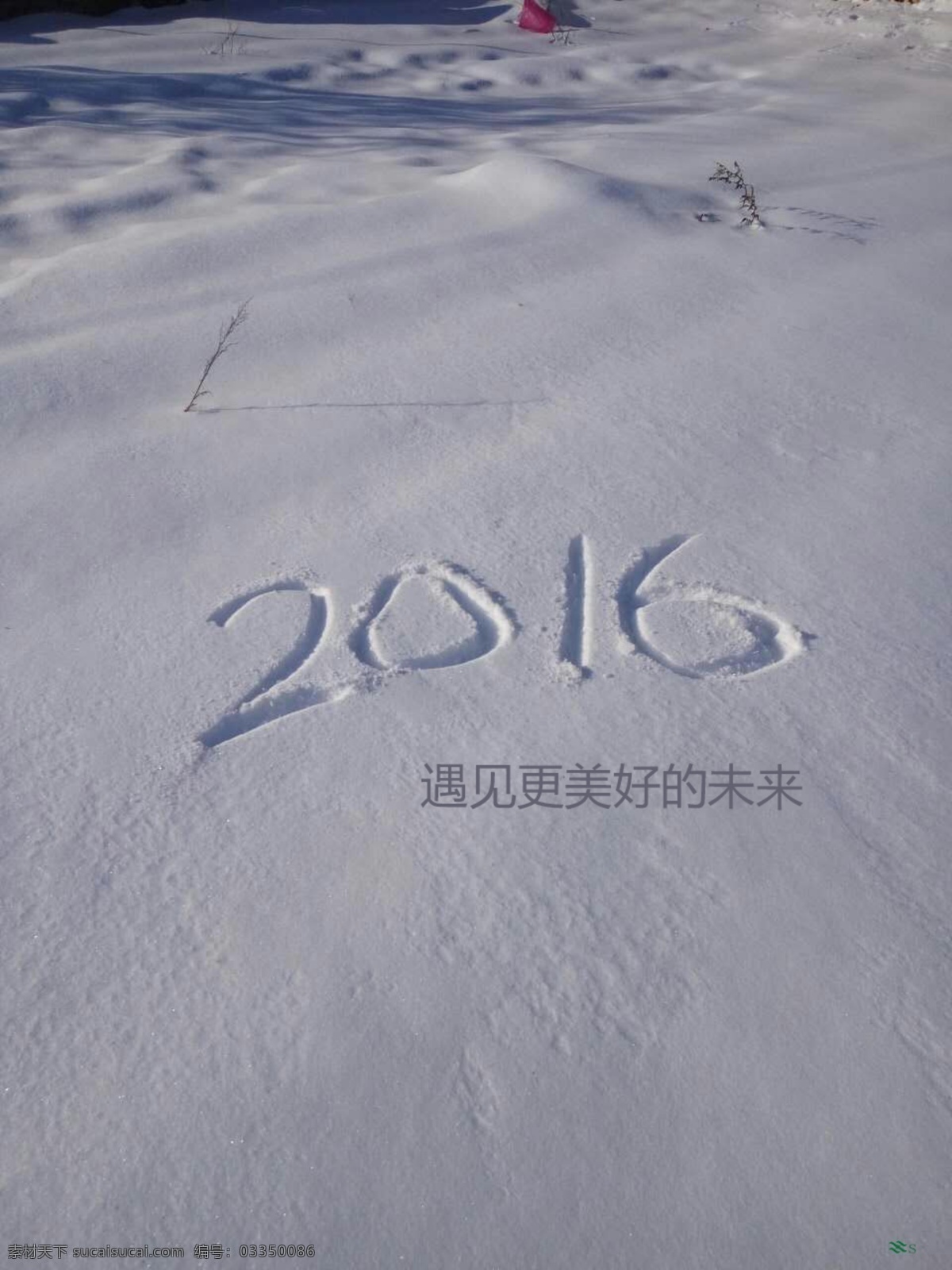遇见 更好 未来 2016 雪地 美好 新年 灰色
