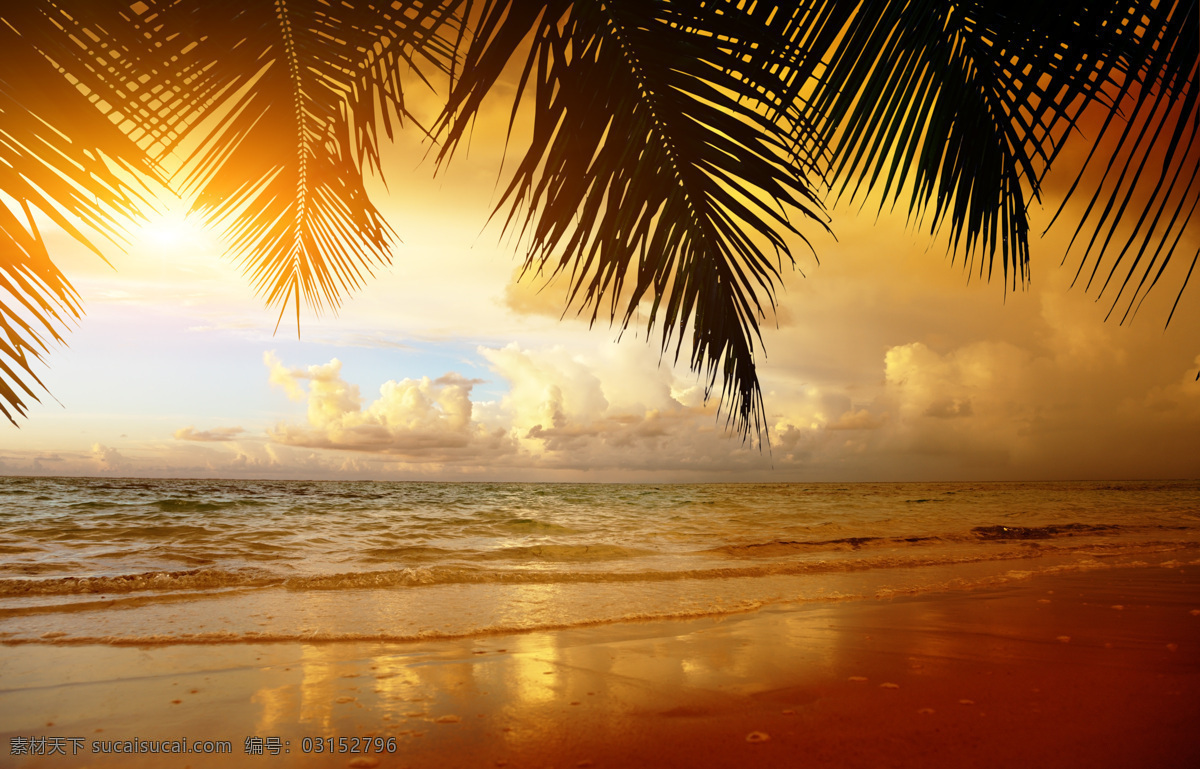 晚霞 椰子树 海洋 风景 霞光 日落 大海 海浪 沙滩 自然风光 海洋海边 大海图片 风景图片