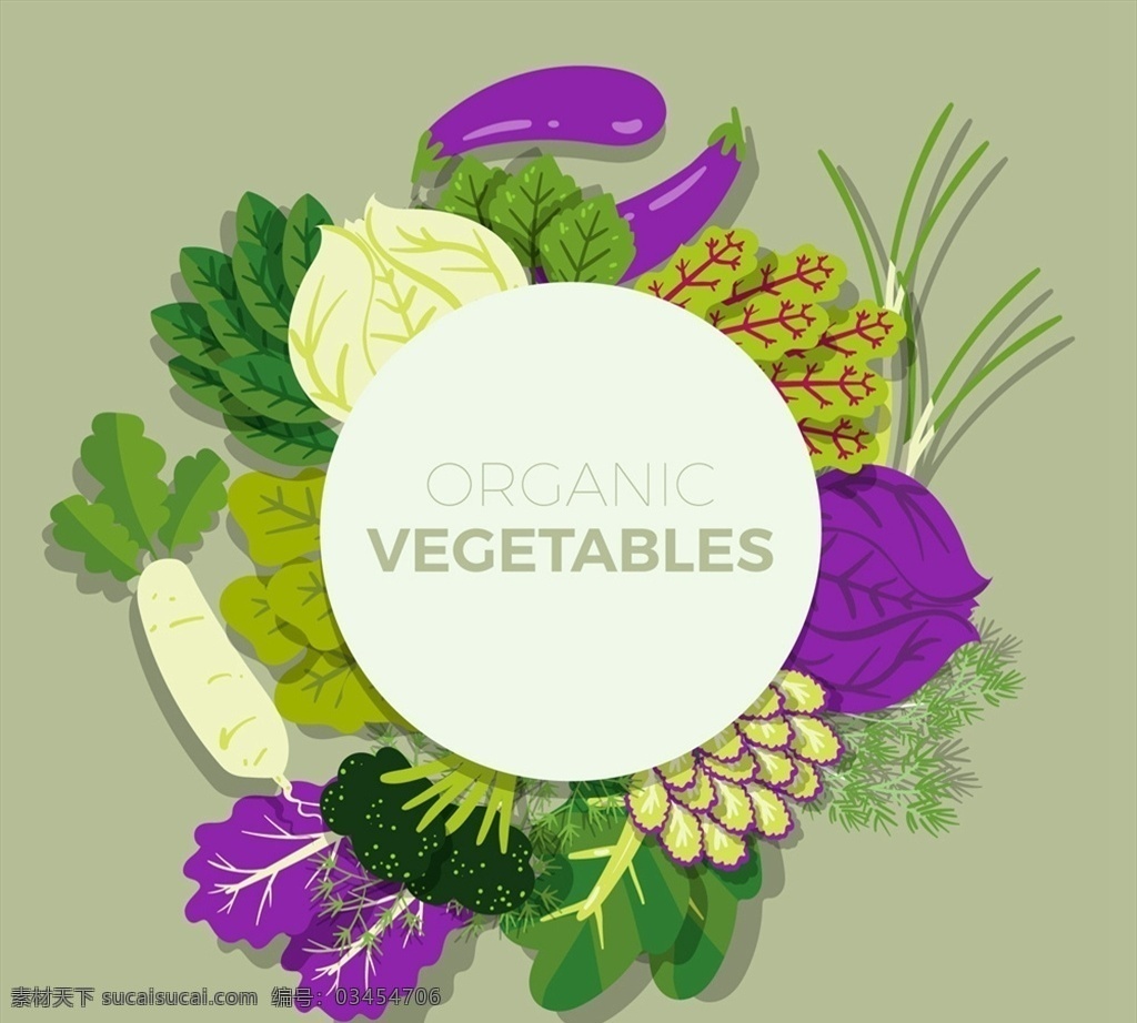 有机 蔬菜 框架 西兰花 萝卜 茄子 紫甘蓝 小葱 小白菜 矢量 高清图片