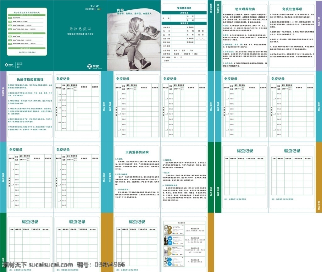 宠物免疫证 宠物 健康 免疫 狂犬 疫苗 画册设计