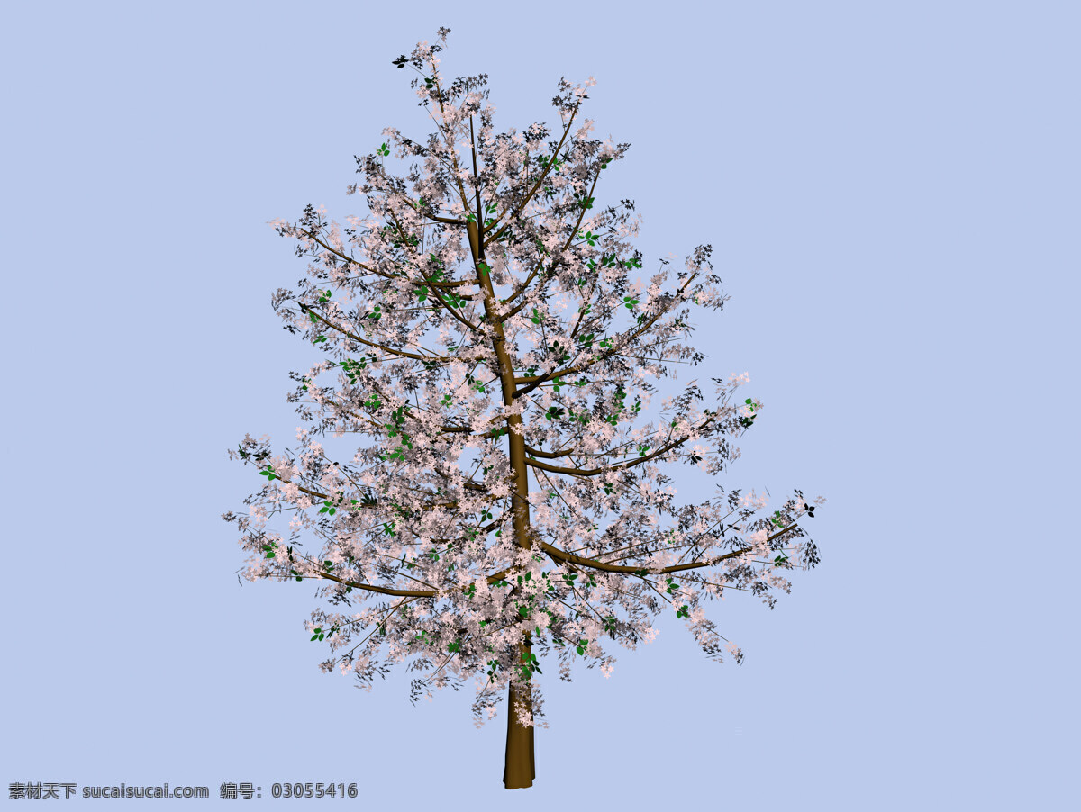 樱花 日本樱花 树木 大树 单色背景树木 树木高清图片 植物 3d树木 树木树叶 生物世界