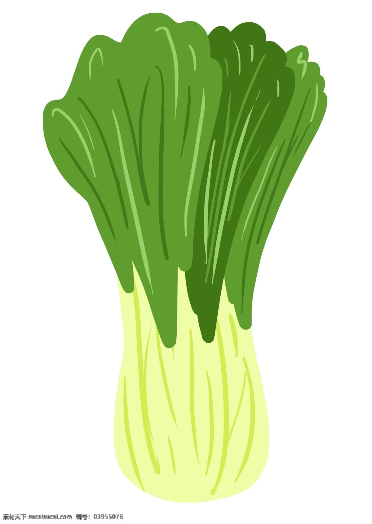 手绘 卡通 青菜 插画 可爱 食物 海报配图 小清新风格 绿色食物 健康食物