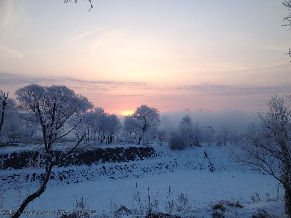雾凇岛 雪 冬天 白色 黎明 清晨 雾 雪景 雾景 雪天早上 冷 朝霞 日出 树枝 东北 雪村 游玩 美 自然景观 自然风景