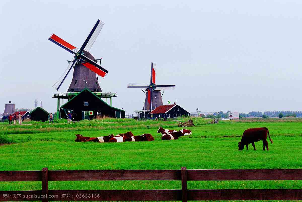 尼德兰王国 荷兰 荷兰风情 风车 郁金香 宽容 低洼之国 风车之国 牧场之国 郁金香王国 莱茵河 马斯河 艾瑟尔湖 自然景观 风景名胜