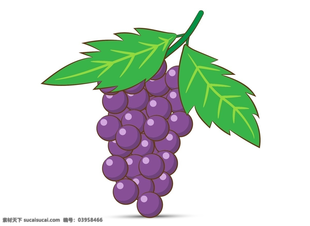 手绘葡萄 矢量葡萄 卡通葡萄 葡萄插画 逼真葡萄 水果葡萄 紫色葡萄 红色葡萄 黑色葡萄 青色葡萄 新鲜葡萄 新鲜提子 创意葡萄 元素