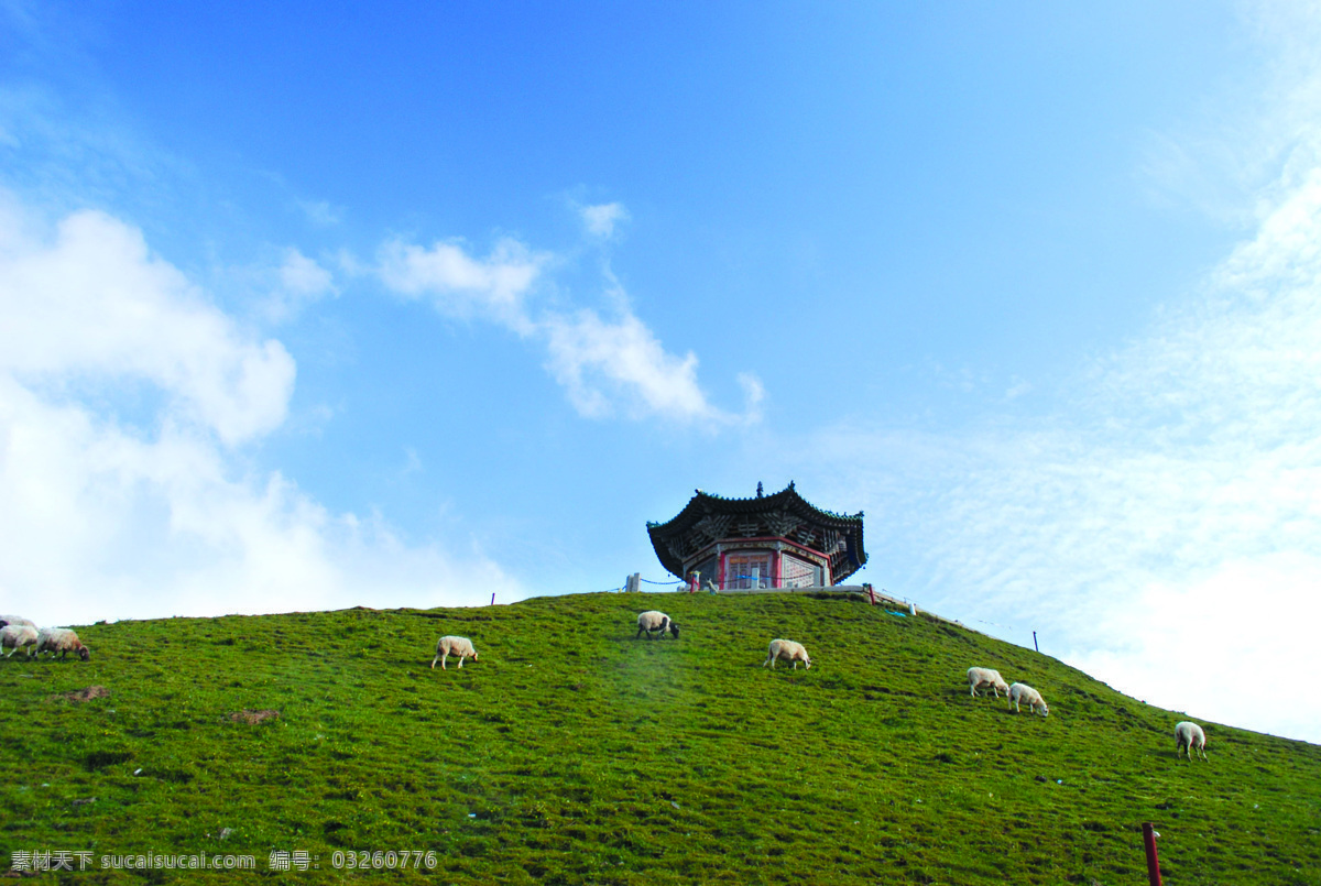 西藏旅游 白云 草地 国内旅游 建筑 蓝天 旅游摄影 西藏风景 西藏日月山 羊群 psd源文件