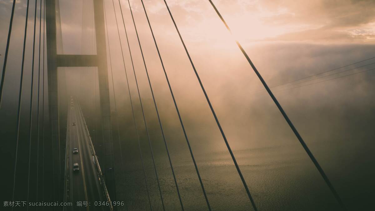 桥梁图片 桥梁 树林 路 钢结构 护栏 大桥 跨河大桥 跨海大桥 桥柱 风景 建筑园林 建筑摄影