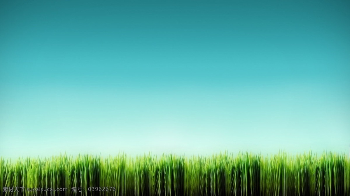 唯美 壁纸 蓝色 绿草 天空 背景图片