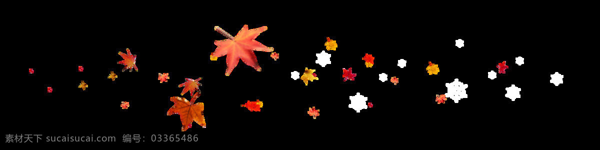 红色 飘落 枫叶 元素 png元素 落下 免抠元素 秋天 透明素材