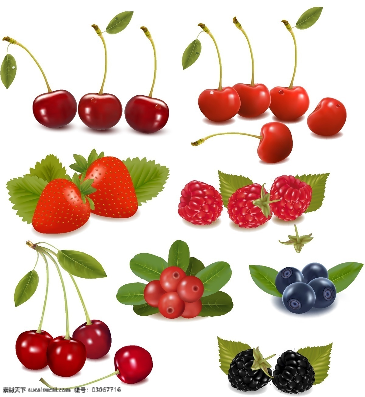 水果 矢量 蓝莓 草莓 樱桃 桑葚 蛇莓 高清图片