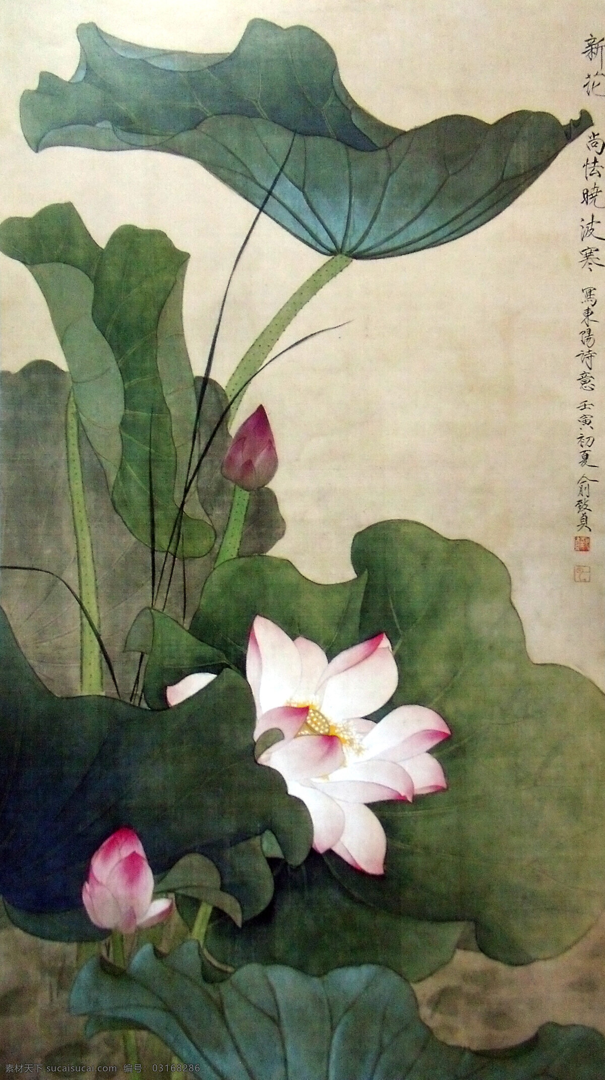 古典 荷花 新 花 壁画 工笔 国画 墙画 装饰画 家居装饰素材 壁纸墙画壁纸