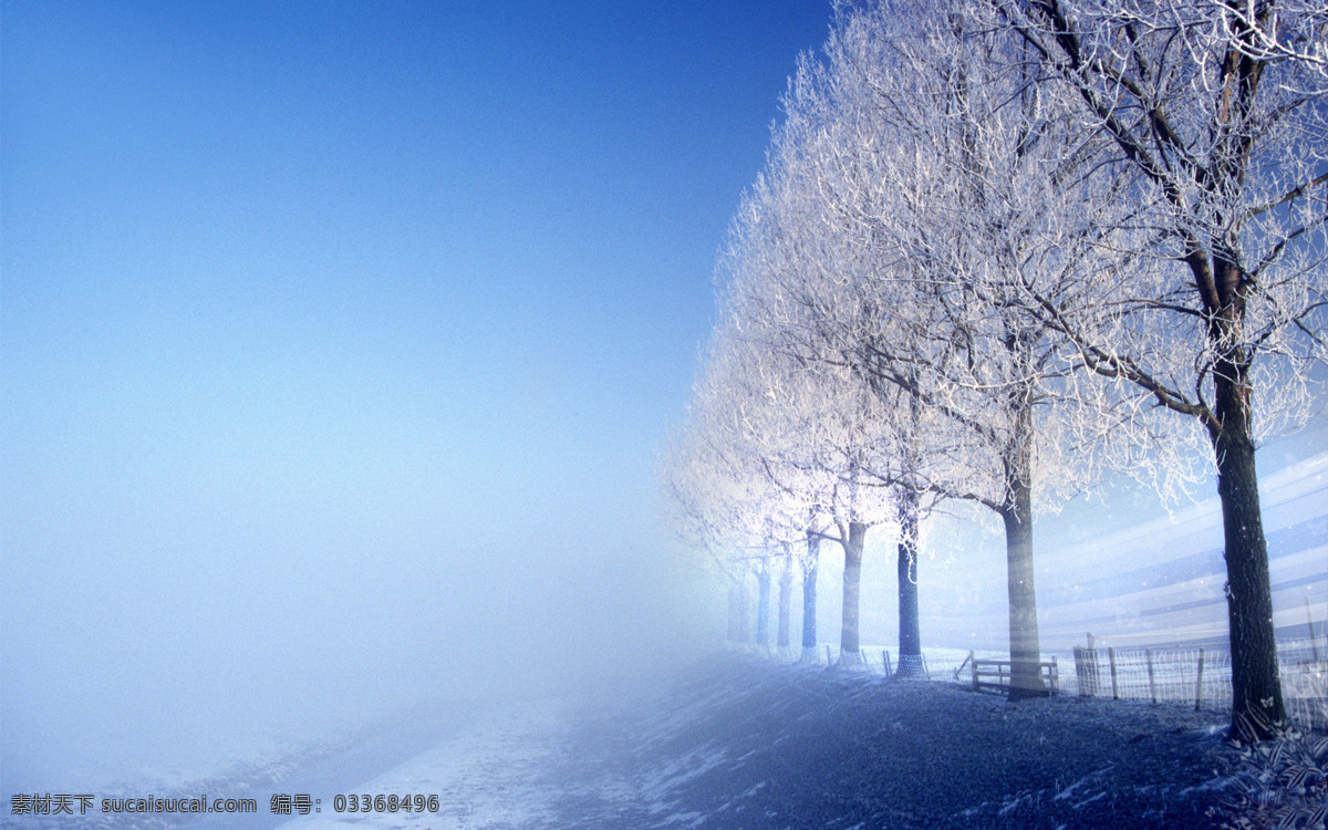 冬季雪景 美丽 雪景 高清 树林 雪地 蓝天 自然 生态环境