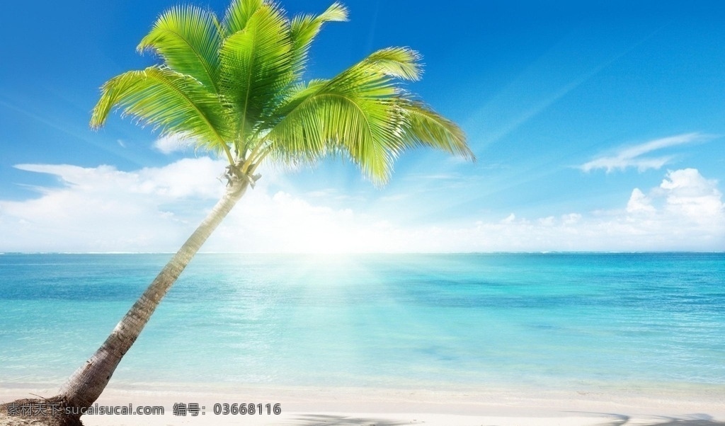 椰树海滩 椰树 海滩 沙滩 白沙 阳光 明媚 蓝天白云 碧海蓝天 海边 海岛 艳阳 夏日 度假 自然景观 自然风光