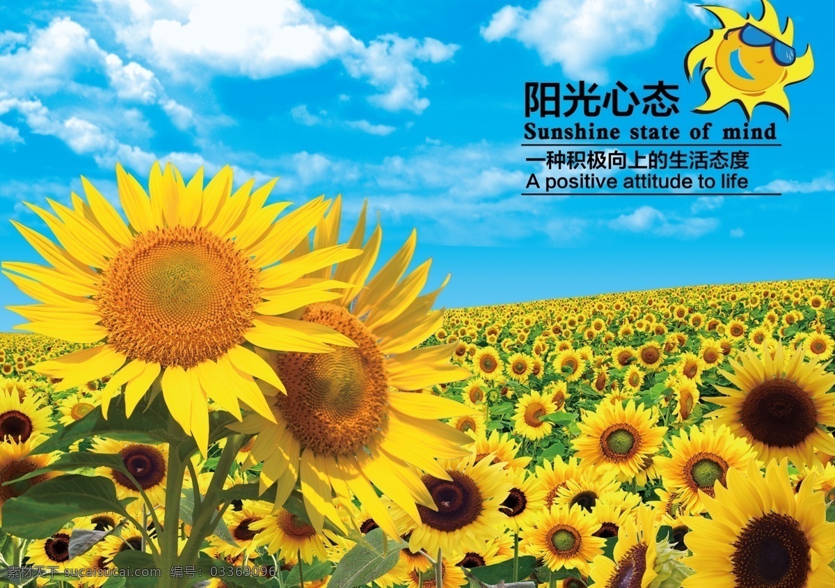 向日葵1 向日葵2 向日葵3 向日葵4 向日葵5 分层